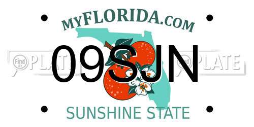 09SJN Florida License Plate