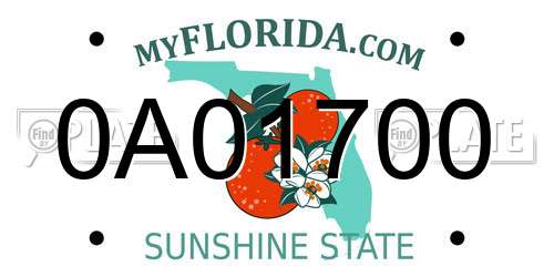 0A01700 Florida License Plate