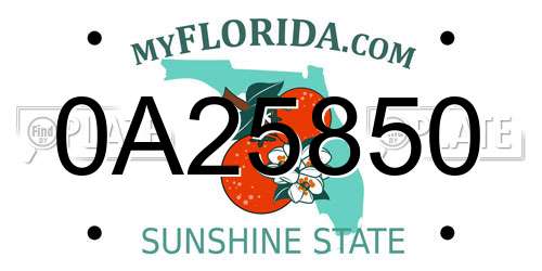 0A25850 Florida License Plate