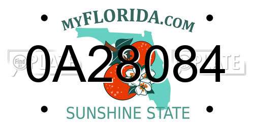 0A28084 Florida License Plate