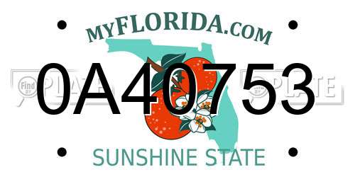 0A40753 Florida License Plate