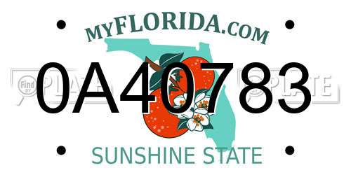 0A40783 Florida License Plate