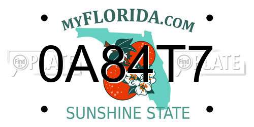 0A84T7 Florida License Plate