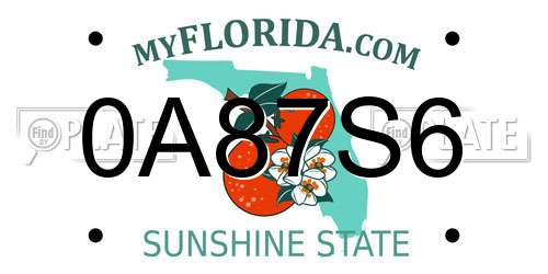 0A87S6 Florida License Plate