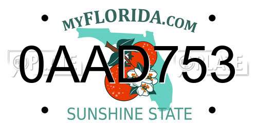 0AAD753 Florida License Plate