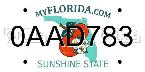 0AAD783 Florida License Plate