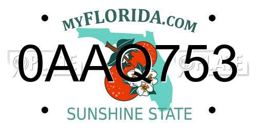 0AAQ753 Florida License Plate