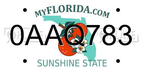 0AAQ783 Florida License Plate