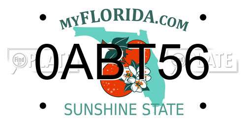 0ABT56 Florida License Plate