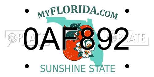 0AF892 Florida License Plate