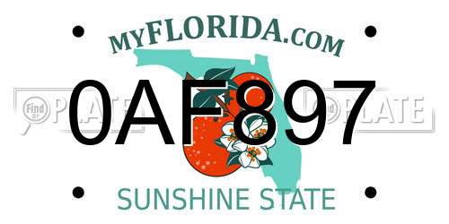 0AF897 Florida License Plate