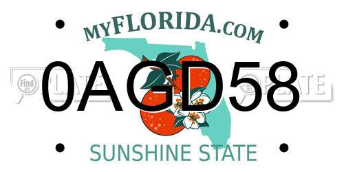 0AGD58 Florida License Plate