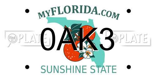 0AK3 Florida License Plate