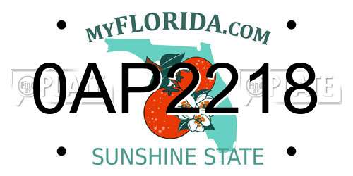 0AP2218 Florida License Plate