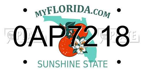 0AP7218 Florida License Plate
