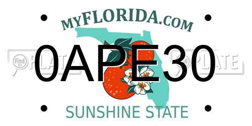 0APE30 Florida License Plate