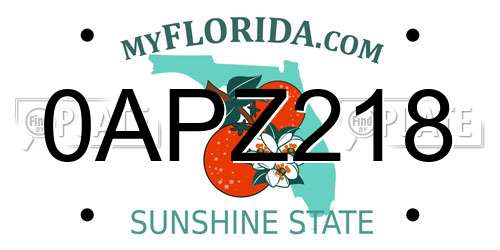 0APZ218 Florida License Plate