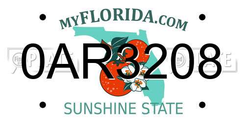 0AR3208 Florida License Plate