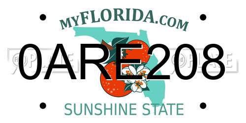 0ARE208 Florida License Plate