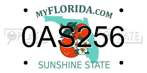 0AS256 Florida License Plate