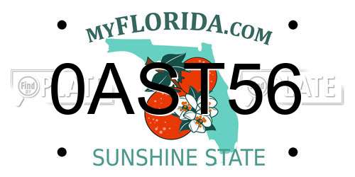 0AST56 Florida License Plate
