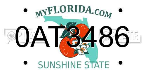 0AT3486 Florida License Plate