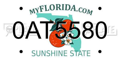 0AT5580 Florida License Plate
