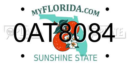 0AT8084 Florida License Plate