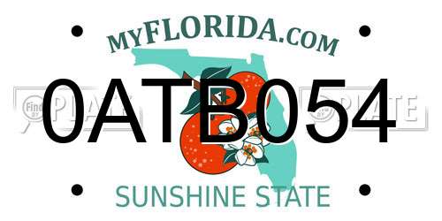 0ATB054 Florida License Plate