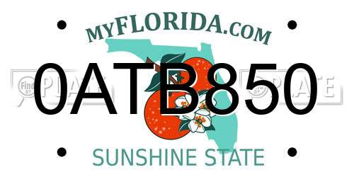 0ATB850 Florida License Plate