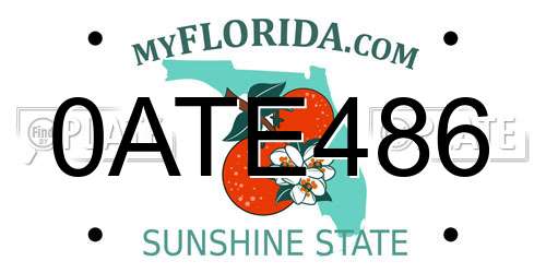 0ATE486 Florida License Plate