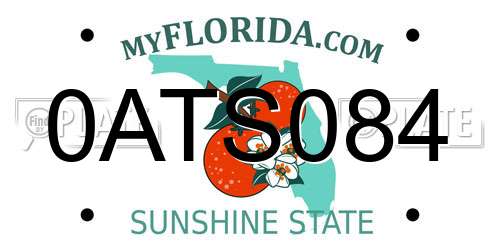 0ATS084 Florida License Plate