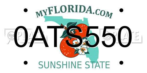 0ATS550 Florida License Plate