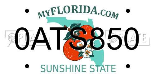 0ATS850 Florida License Plate