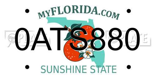0ATS880 Florida License Plate