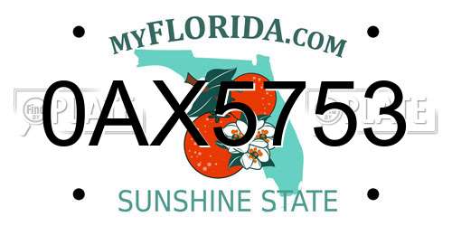 0AX5753 Florida License Plate