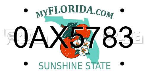 0AX5783 Florida License Plate