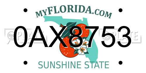 0AX8753 Florida License Plate