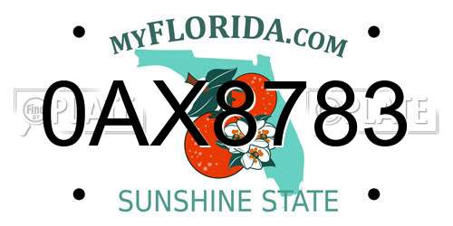 0AX8783 Florida License Plate