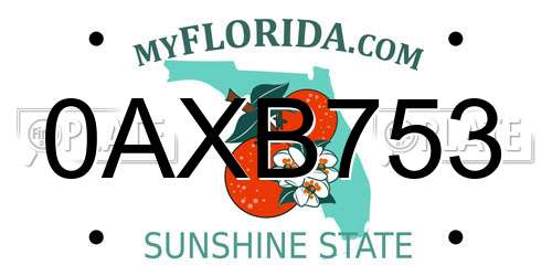 0AXB753 Florida License Plate