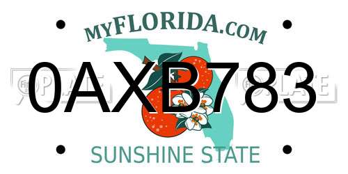 0AXB783 Florida License Plate