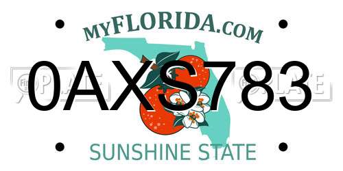 0AXS783 Florida License Plate