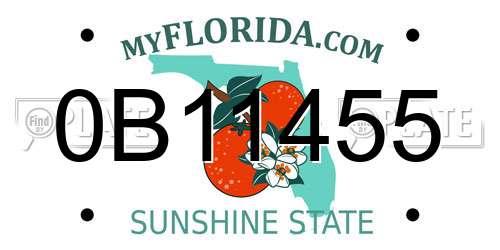0B11455 Florida License Plate