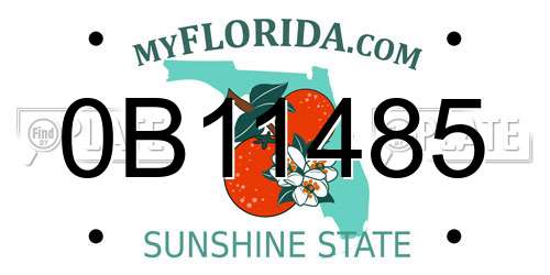 0B11485 Florida License Plate