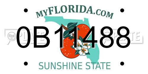 0B11488 Florida License Plate