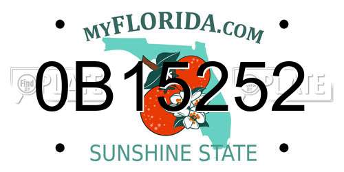 0B15252 Florida License Plate