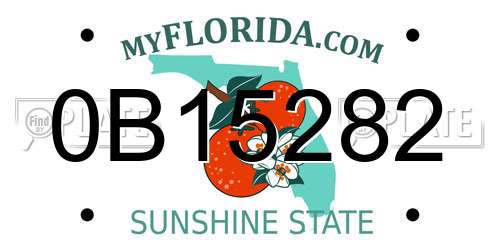 0B15282 Florida License Plate