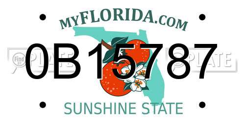 0B15787 Florida License Plate