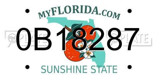 0B18287 Florida License Plate