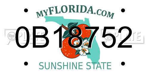 0B18752 Florida License Plate